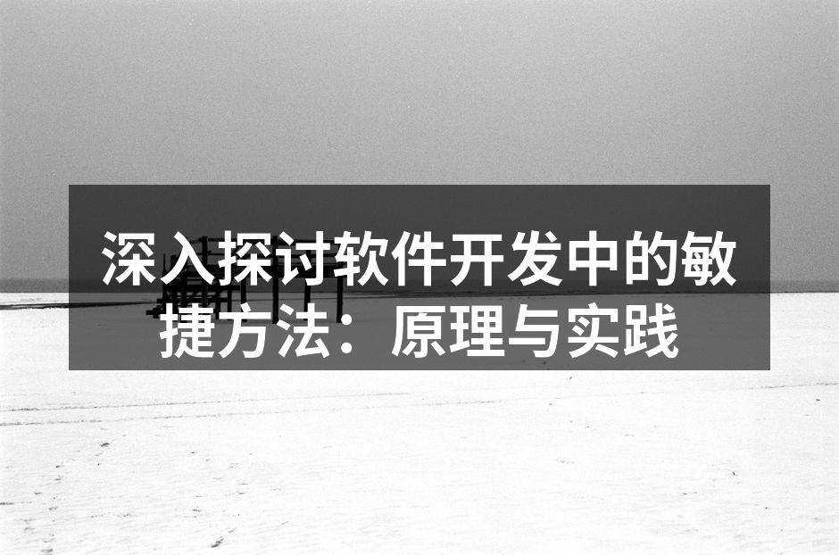 深入探讨软件开发中的敏捷方法:原理与实践