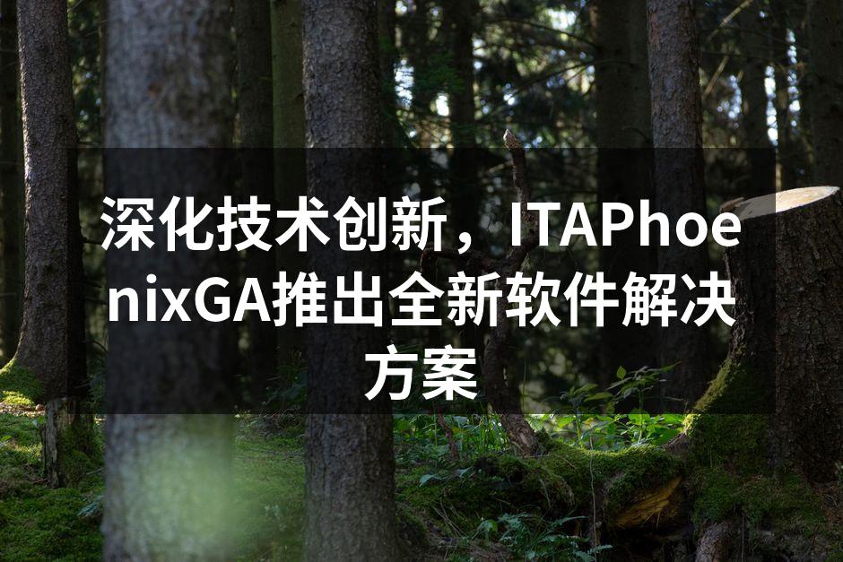 深化技术创新,ITAPhoenixGA推出全新软件解决方案